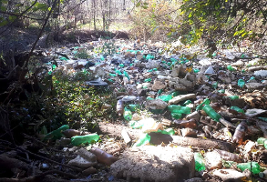Polystirene, Plastic and other waste that has formed a Island floating on the Hennops River