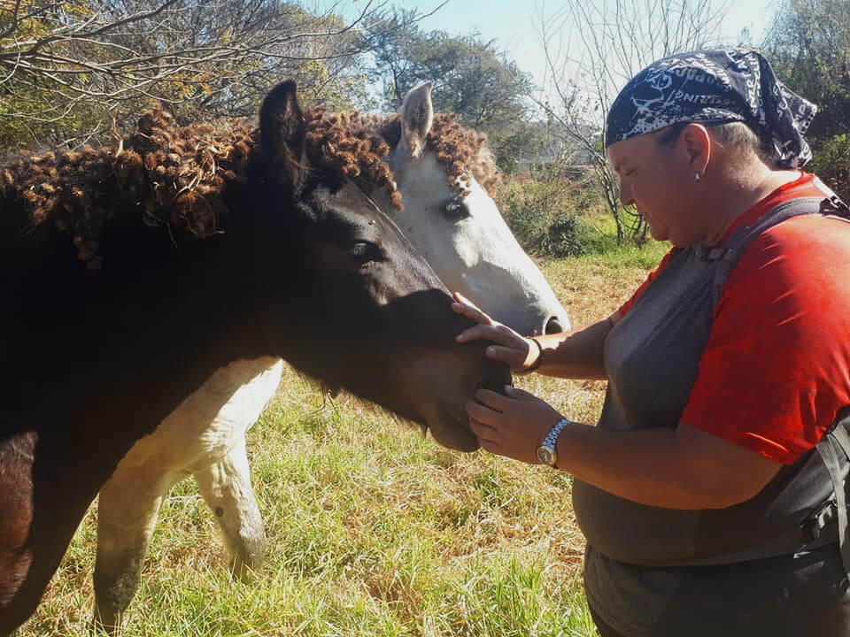 Horses along the Hennops River in Centurion
