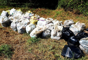 These bags contain the trash collected on the Hennops River on the day of the cleanup