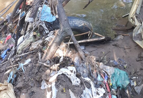 This waste and pollution collected on the Riverbanks of the Hennops and was cleaned up by Lewende Woord youth
